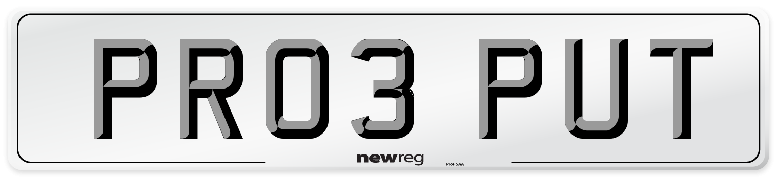 PR03 PUT Number Plate from New Reg